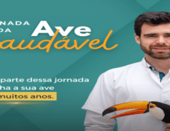 ave saudaavel